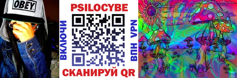 Купить закладки  Сердобск  Псилоцибиновые грибы мухоморы 